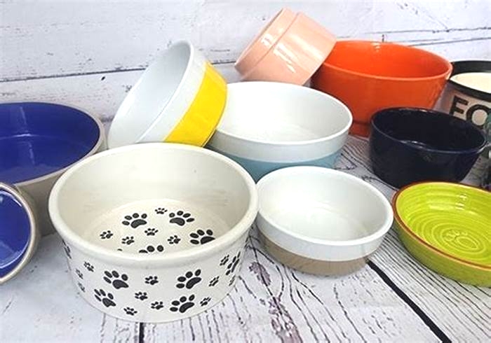 Are ceramic bowls bad for dogs?