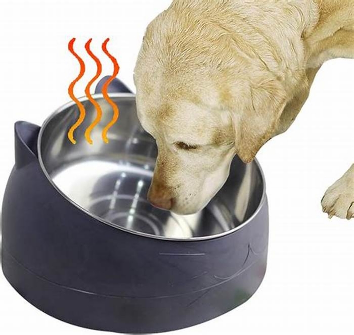 Are ceramic bowls better for dogs