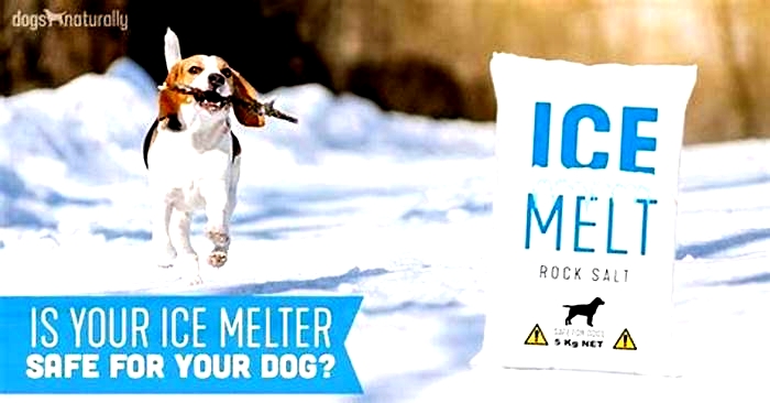 Are ice pellets safe for dogs?