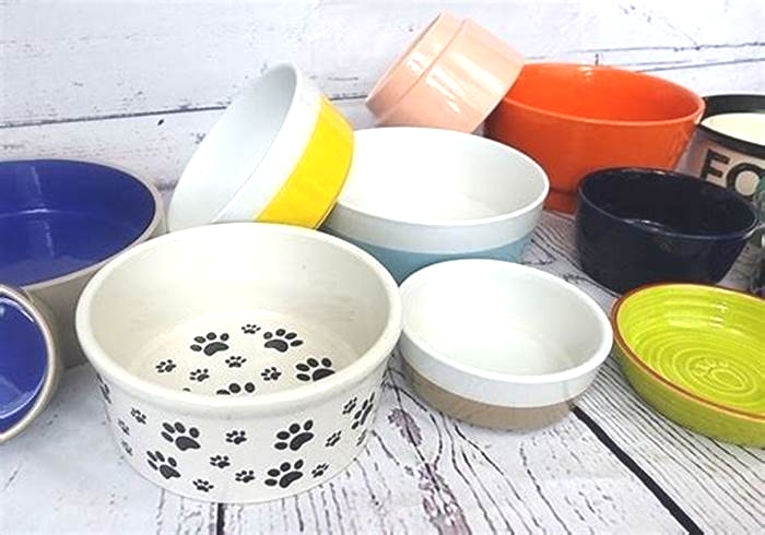 Are metal or ceramic bowls better for dogs