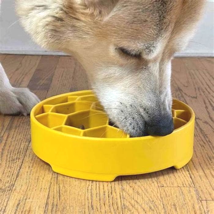 Are plastic slow feeders bad for dogs?