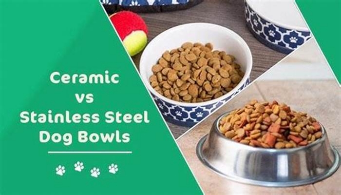 Are stainless steel or ceramic bowls better for dogs?