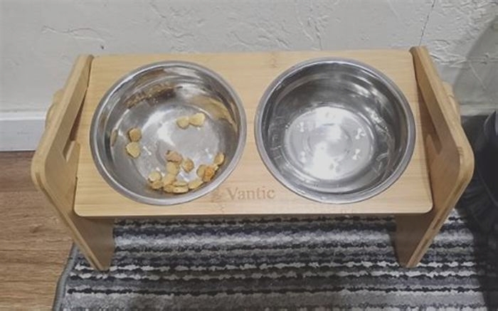 Are tilted bowls better for dogs?