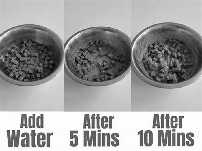 Are you supposed to add water to dry kibble?