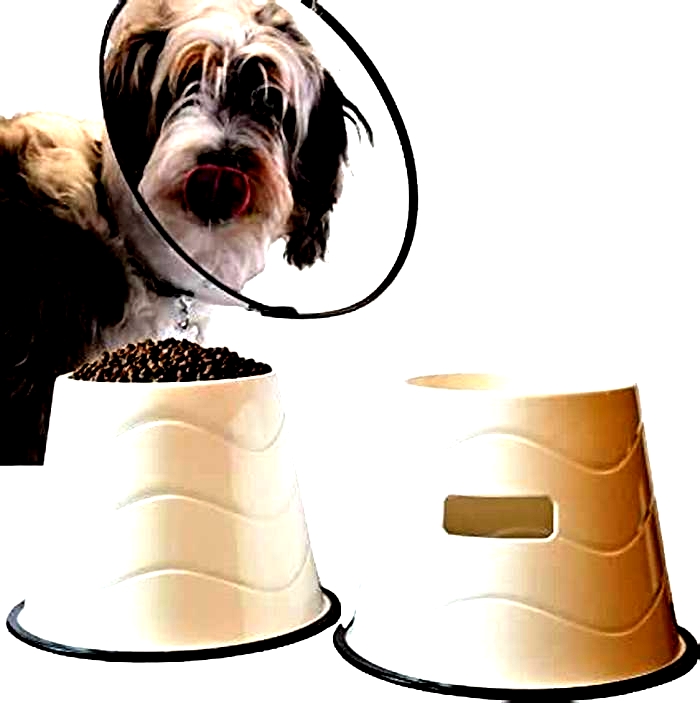 Best dog bowls for large dogs amazon