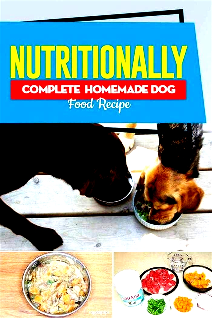 Can I cook nutriment dog food