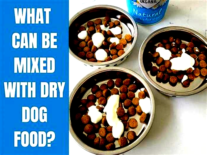 Can I mix Freshpet with dry dog food?