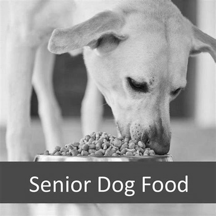 Can an adult dog eat senior dog food