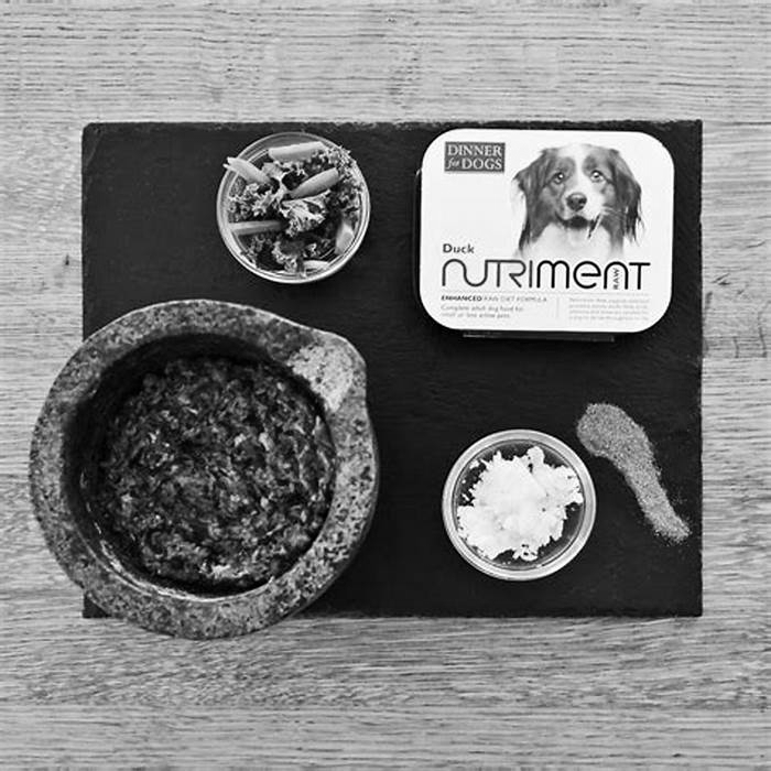 Can you cook nutriment dog food