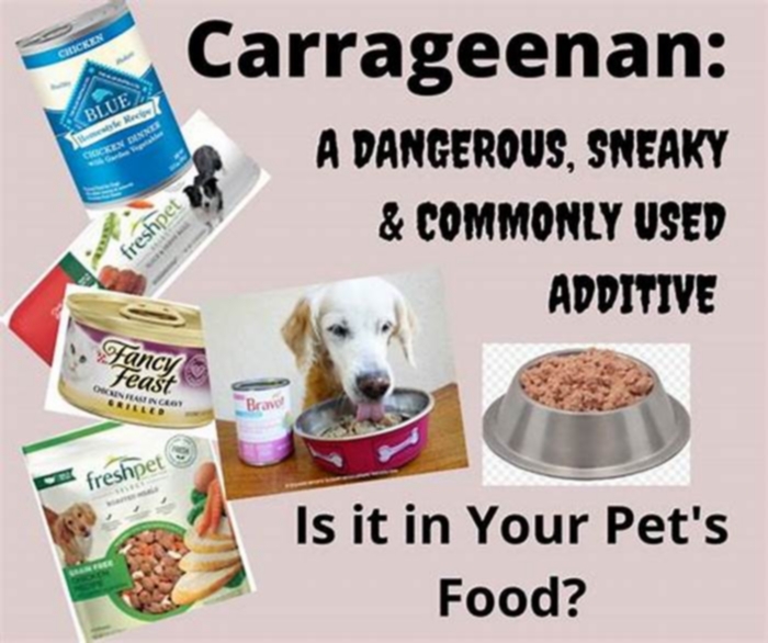 Do all dog foods contain carrageenan