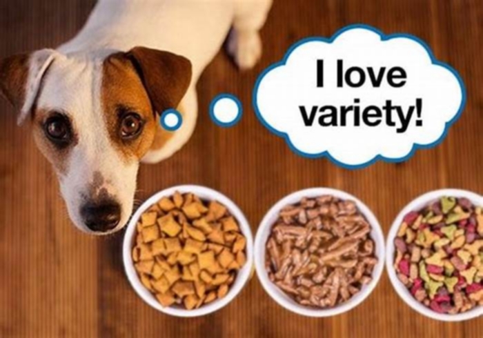 Do dogs live longer without kibble?