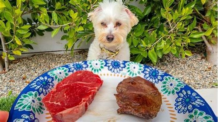 Do dogs prefer raw or cooked meat