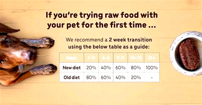 Do vets recommend a raw diet for dogs