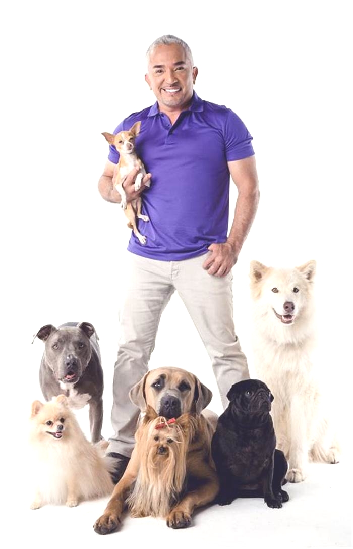 Does Cesar Millan have his own dog food?