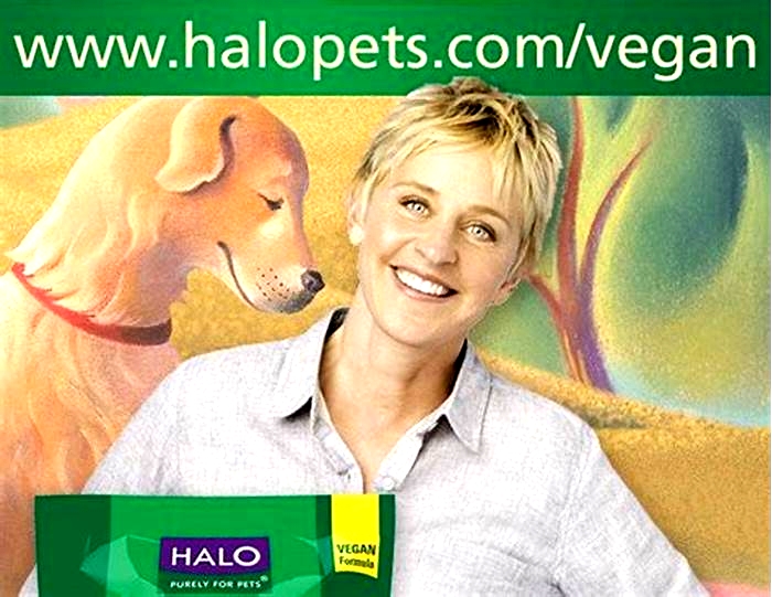 Does Ellen DeGeneres own a dog food company?