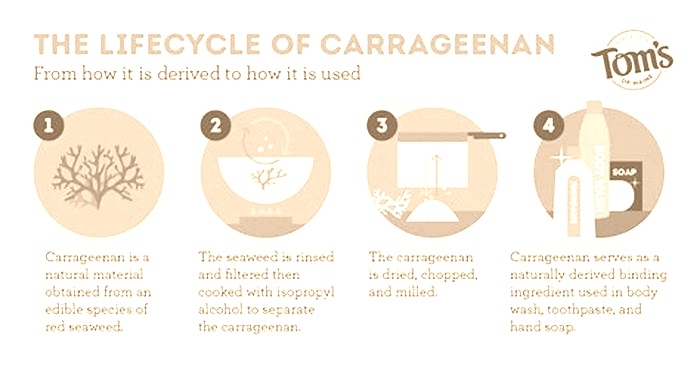 Does Purina use carrageenan?