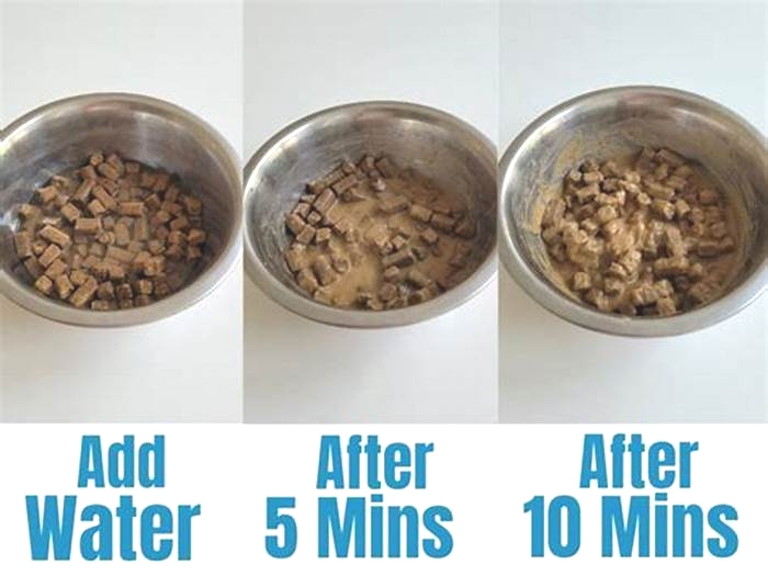 Does adding water to dry dog food help?