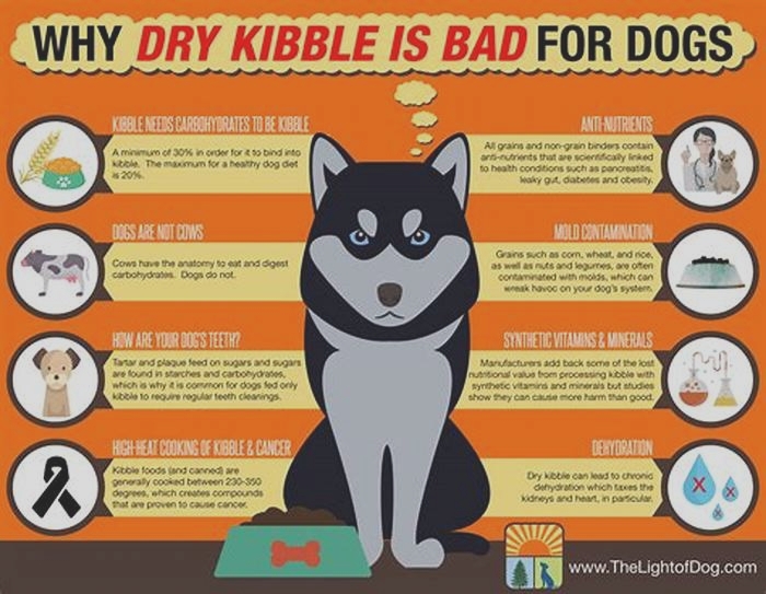 Does dry kibble cause bloat