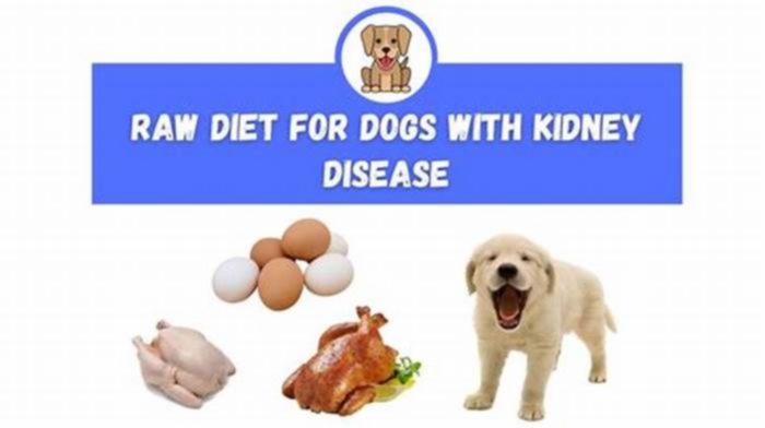 How can I reverse my dog s kidney disease naturally