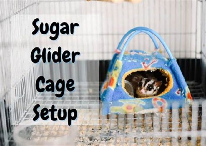 How do I keep my sugar glider cage from smelling