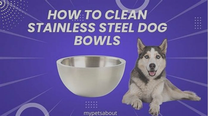 How do you disinfect stainless steel dog bowls?