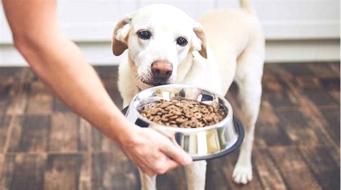 How long can you leave moistened dry dog food out?