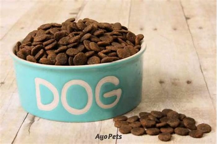 How long should I soak my dogs kibble