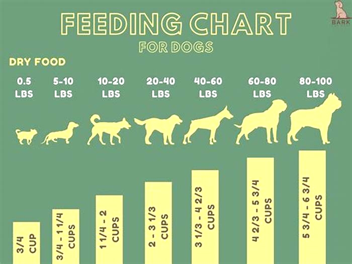 How many cups of dog food should a 20 pound dog eat a day