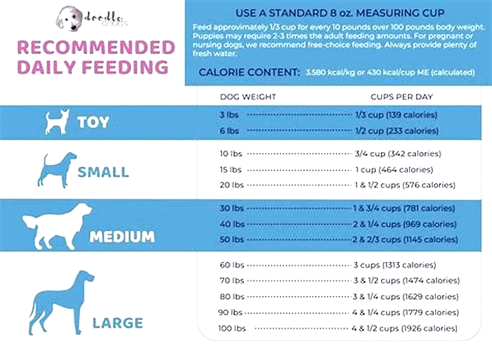 How much food should a 55 lb dog eat per day?