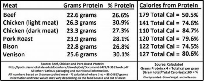 How much protein should a dog have daily?