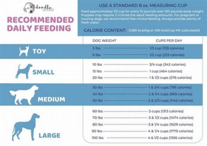 How much wet food should a 20 pound dog eat a day?