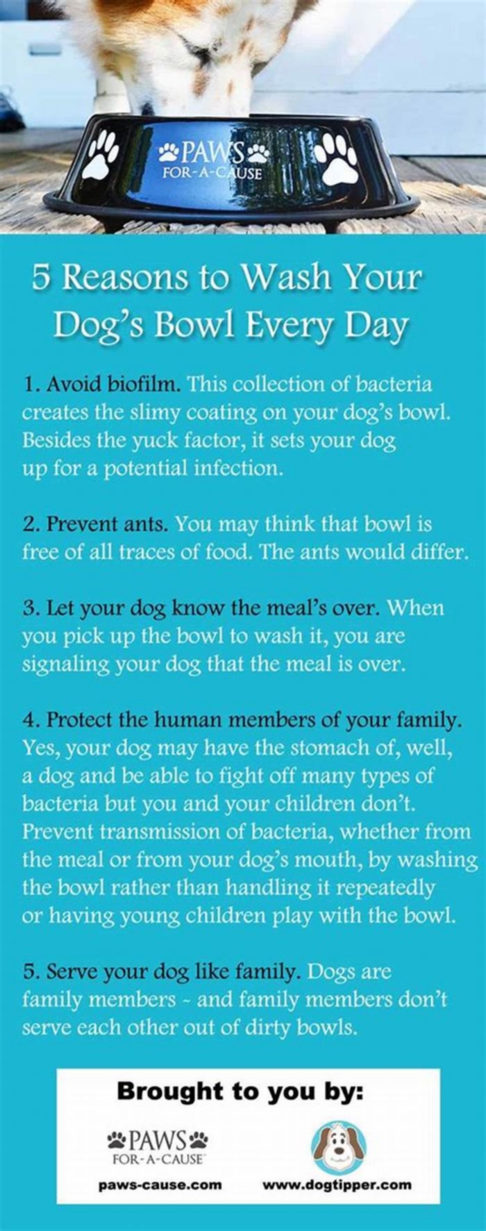 How often should you wash your dog's water bowl?