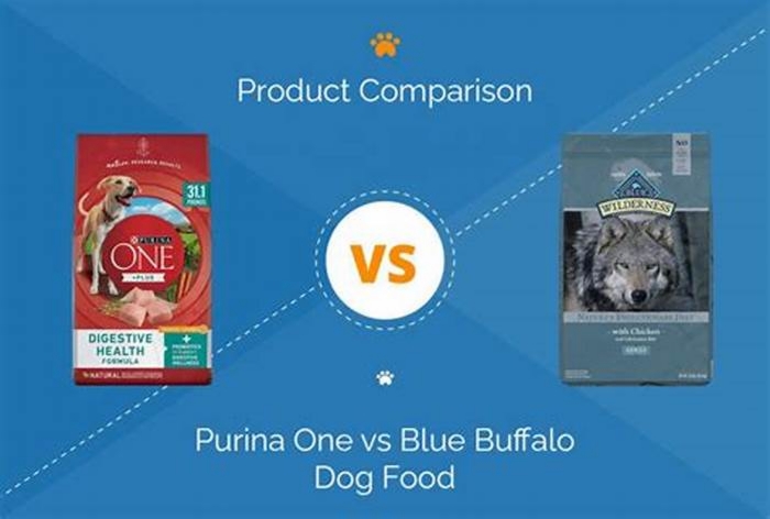 Is Blue Buffalo or Purina better for dogs?