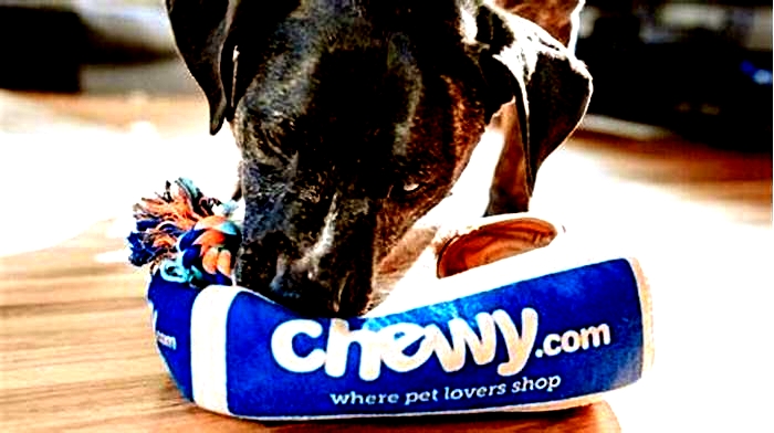 Is Chewy cheaper than Vet