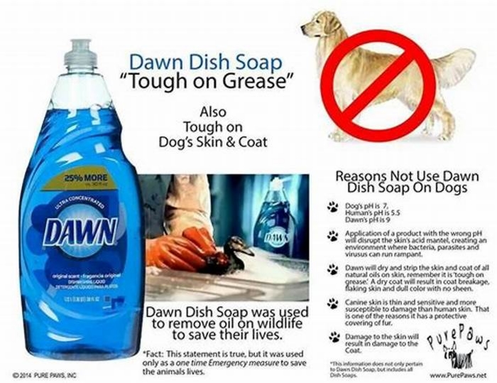 Is Dawn dish soap safe to wash dog bowls