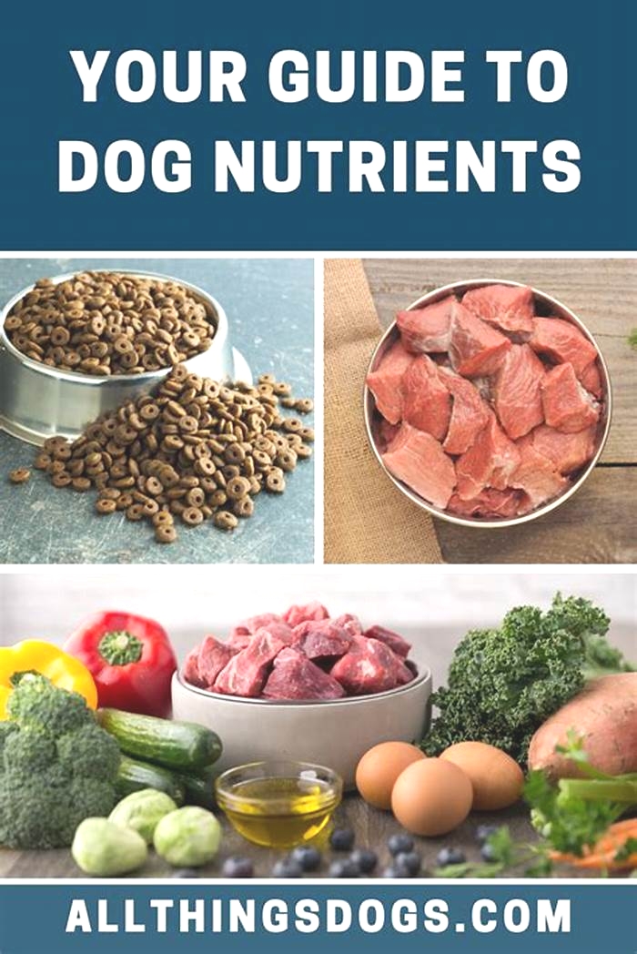 Is Nutriment good for dogs