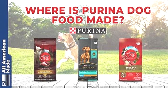 Is Purina making dogs sick 2024?