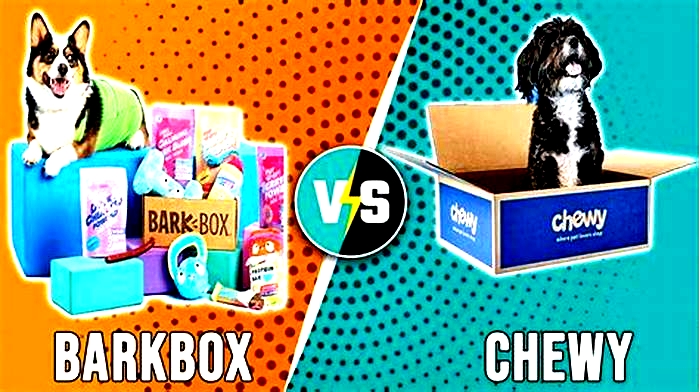 Is bark box or Chewy better?