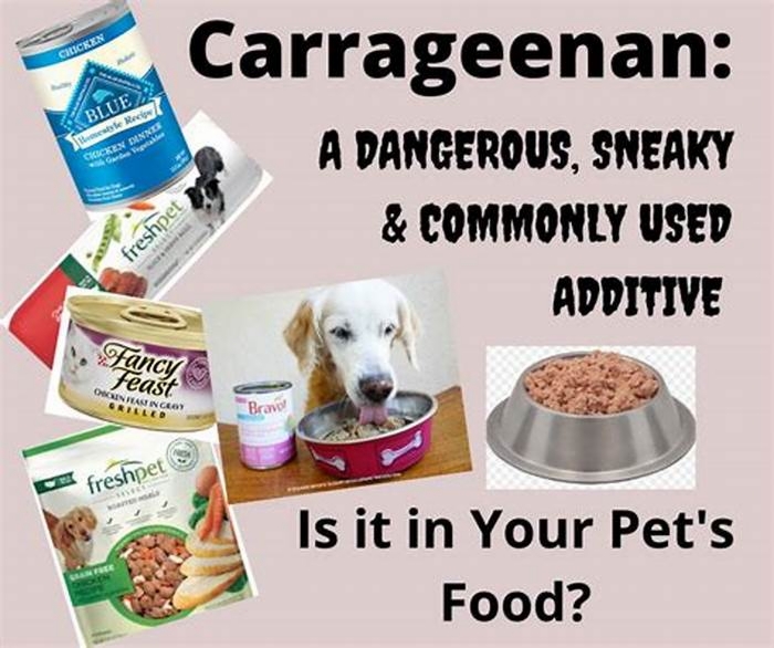 Is carrageenan OK in dog food