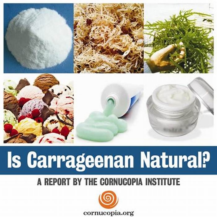 Is carrageenan a carcinogen?