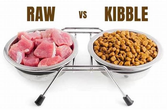 Is dog food better kibble or fresh