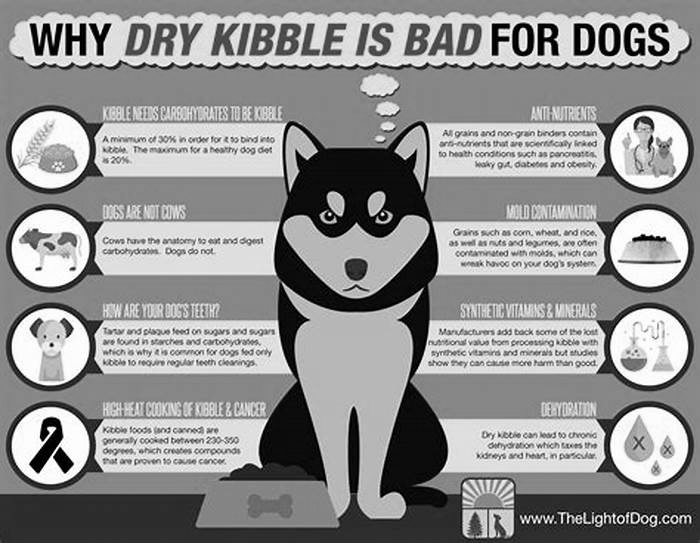 Is dry kibble bad for dogs