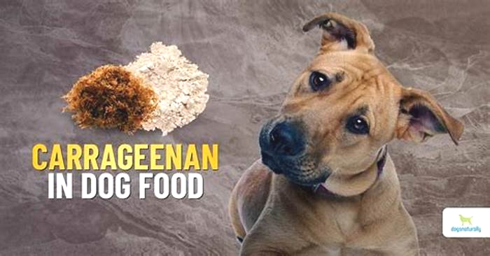 Is food grade carrageenan safe for dogs