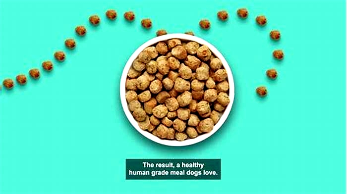 Is human grade dog food better than kibble