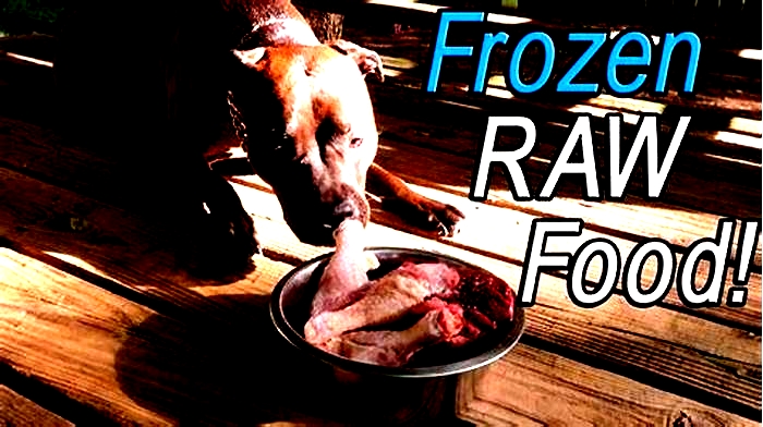 Is it OK to give dogs frozen meat