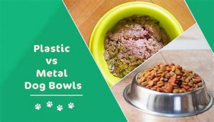 Is it bad for dogs to use metal bowls?