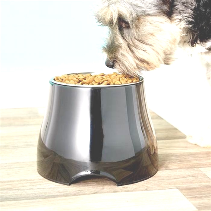 Is it better for dogs to have elevated bowls?