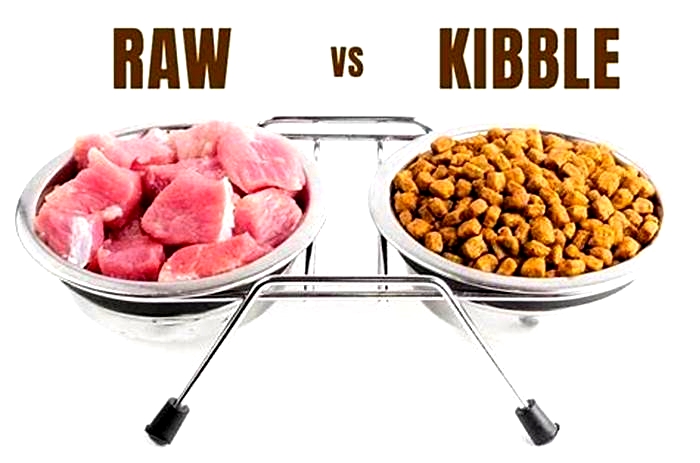 Is it better to feed raw or kibble