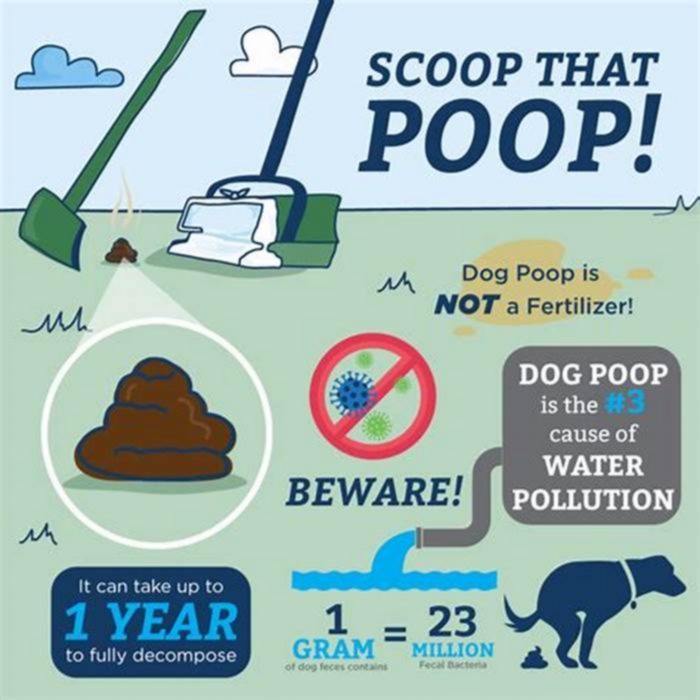 Is it better to pick up dog poop or leave it