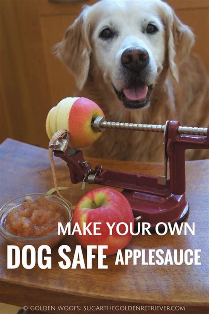 Is it okay to give your dog applesauce?